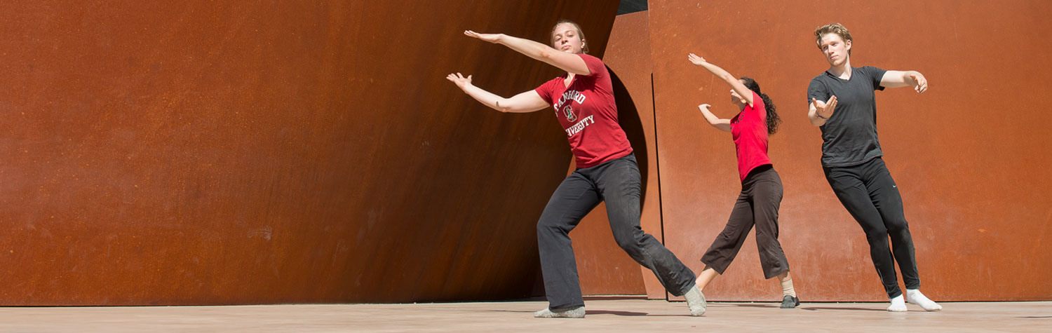 Graduate students Sonya Erlandson and Nicola Ulibarri rehearse with freshman Andrew Beckman in a site-specific dance entitled, 'Out of Sequence' by Diane Frank. Photo credit: Linda A. Cicero / Stanford News.
